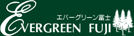 Evergreen fuji